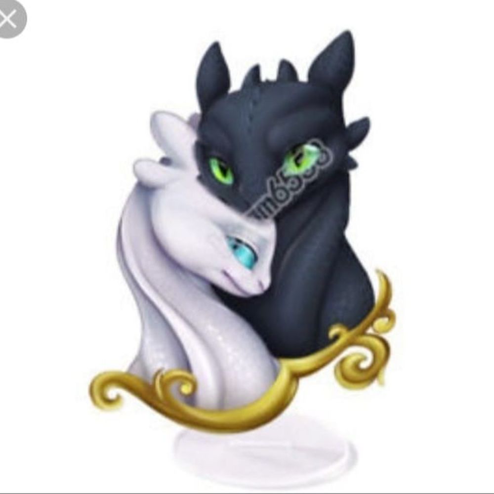 Meet your Posher, Karoline